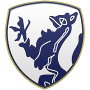 Enfield Badge